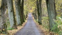 alej sladovnická vratislavice 43559a9680f15e678e3f48b4eeb11879 XL